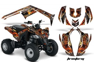Can-Am DS250 Graphics 2006-2014